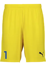 391942107101 PUMA T Goal Shorts 391942107101 PUMA T Goal Shorts Standard Small1x1