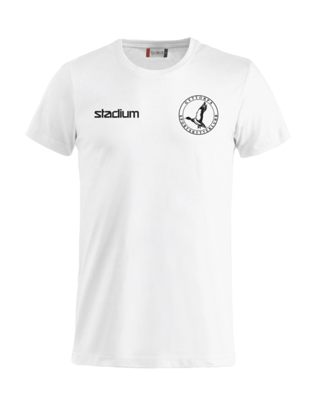 
CLIQUE, 
Basic-T, 
Detail 1
