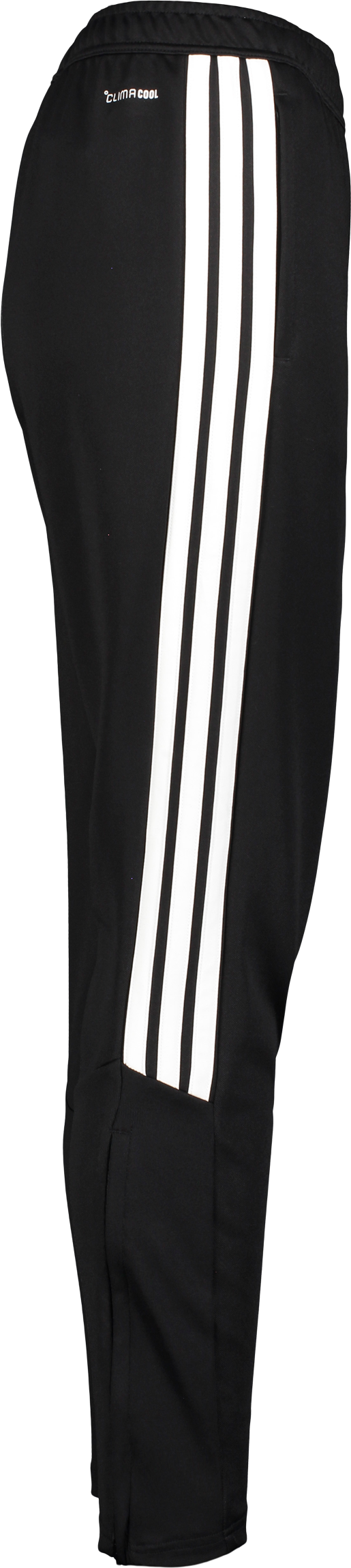 ADIDAS, TIRO26 L PNT W