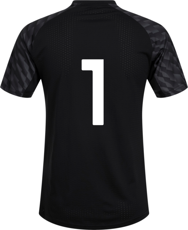 PUMA, TEAMLIGA26 JERSEY