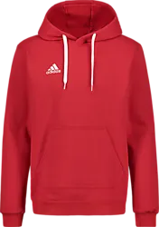 Ent22 Hoody - Red Standard Small1x1
