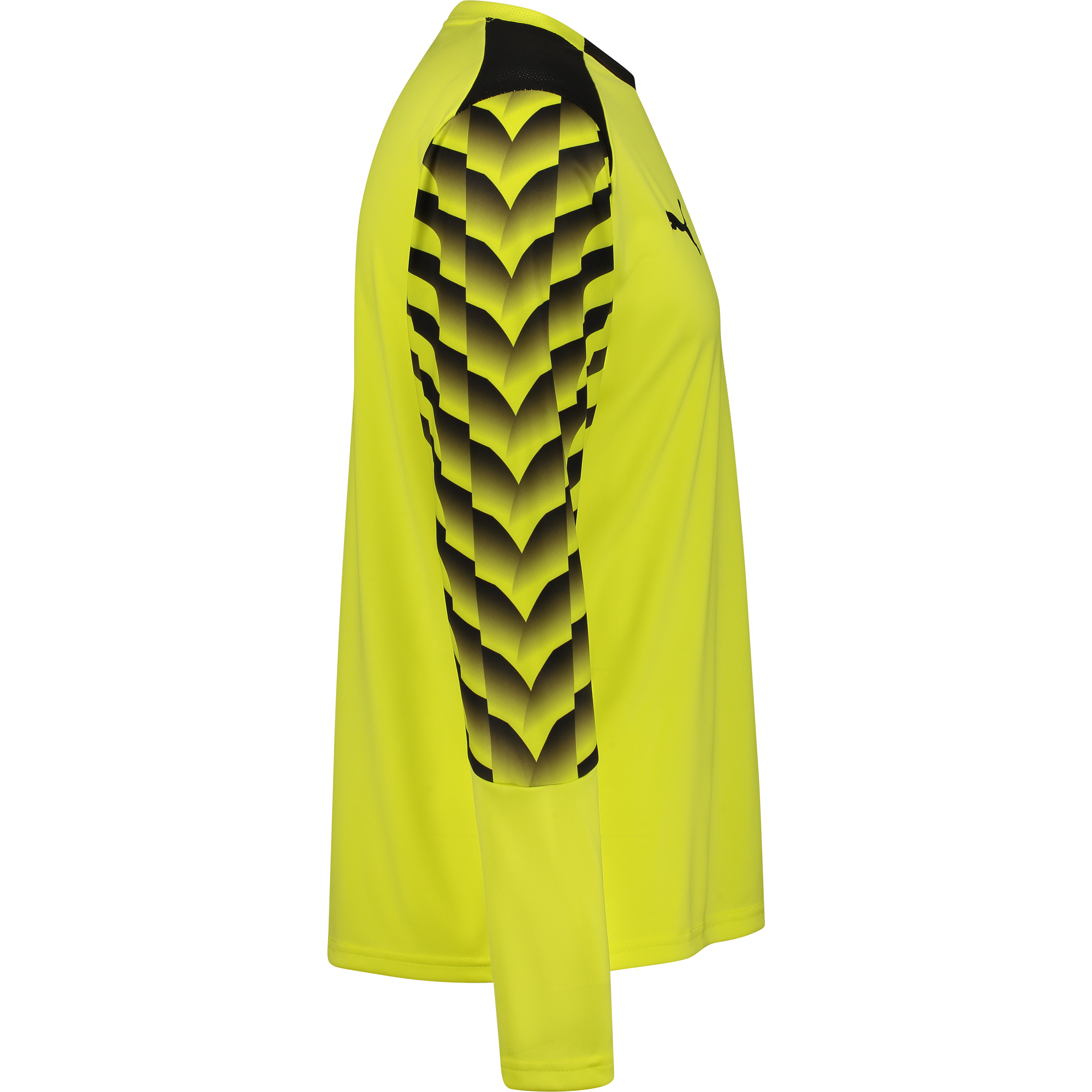 PUMA, TEAMLIGA26 GK JERSEY LS
