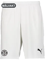391942104101 PUMA T Goal Shorts 391942104101 PUMA T Goal Shorts Standard Small1x1