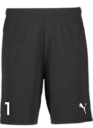 391942103101 PUMA T Goal Shorts 391942103101 PUMA T Goal Shorts Standard Small1x1