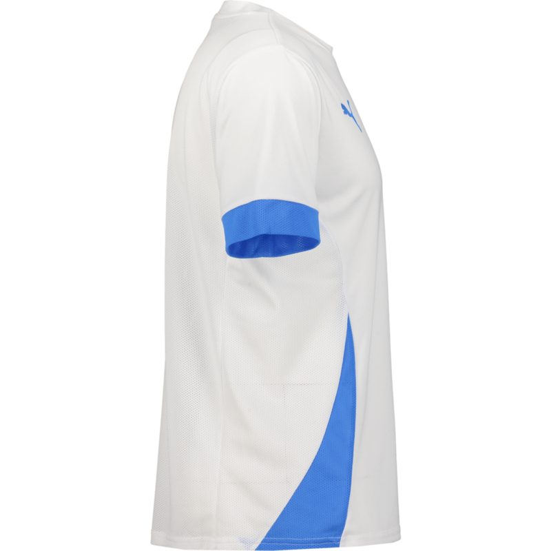 PUMA, T Goal Matchday Jsy
