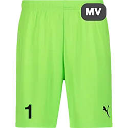 391942111101 PUMA T Goal Shorts 391942111101 PUMA T Goal Shorts Standard Small1x1