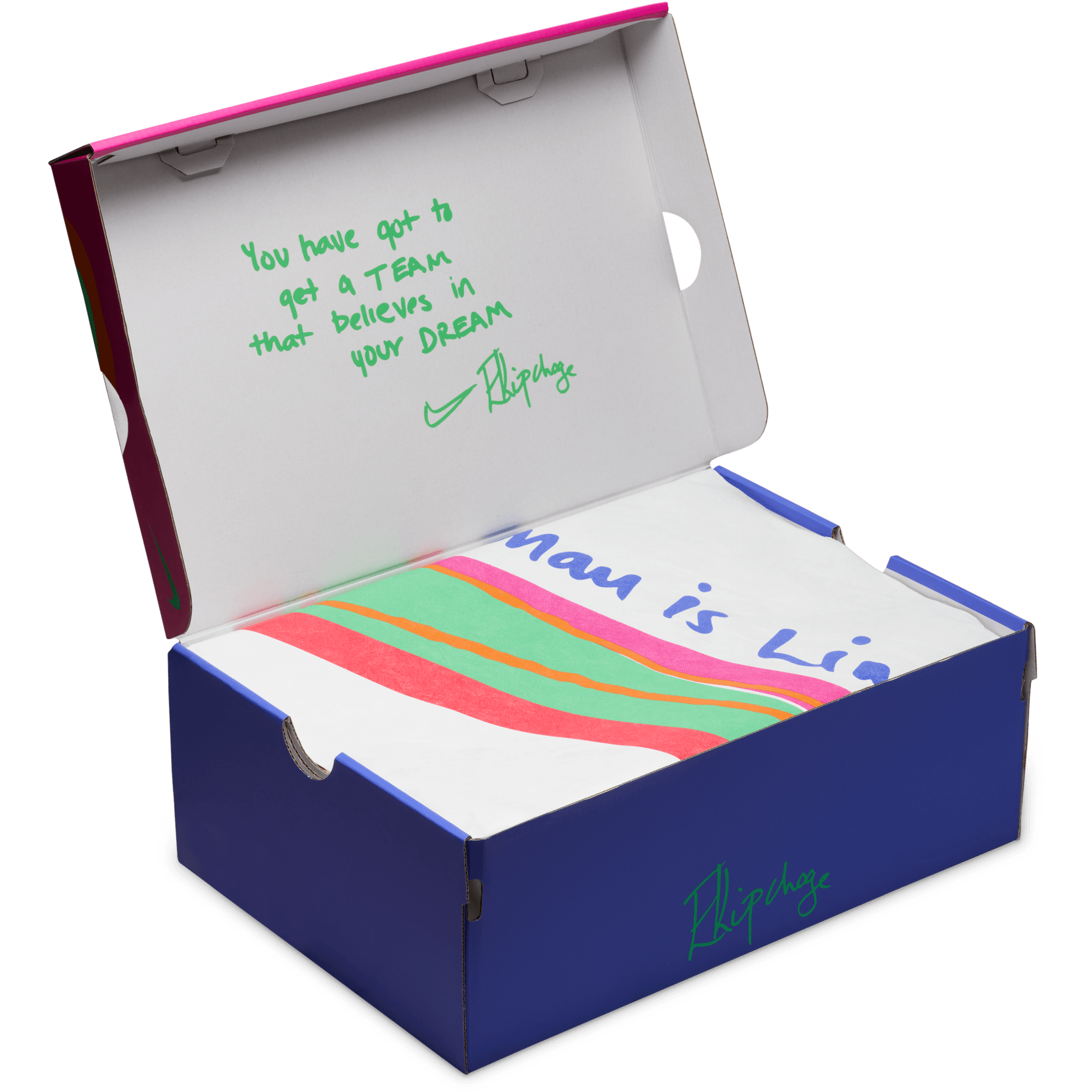 NIKE, M Zoomx Vaporfly Next% 4 Ek