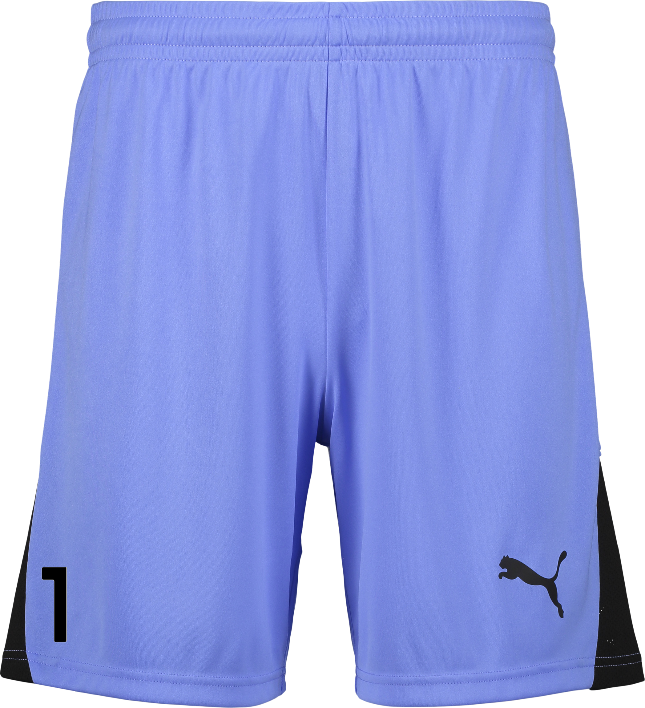 
PUMA, 
TEAMLIGA26 SHORTS, 
Detail 1
