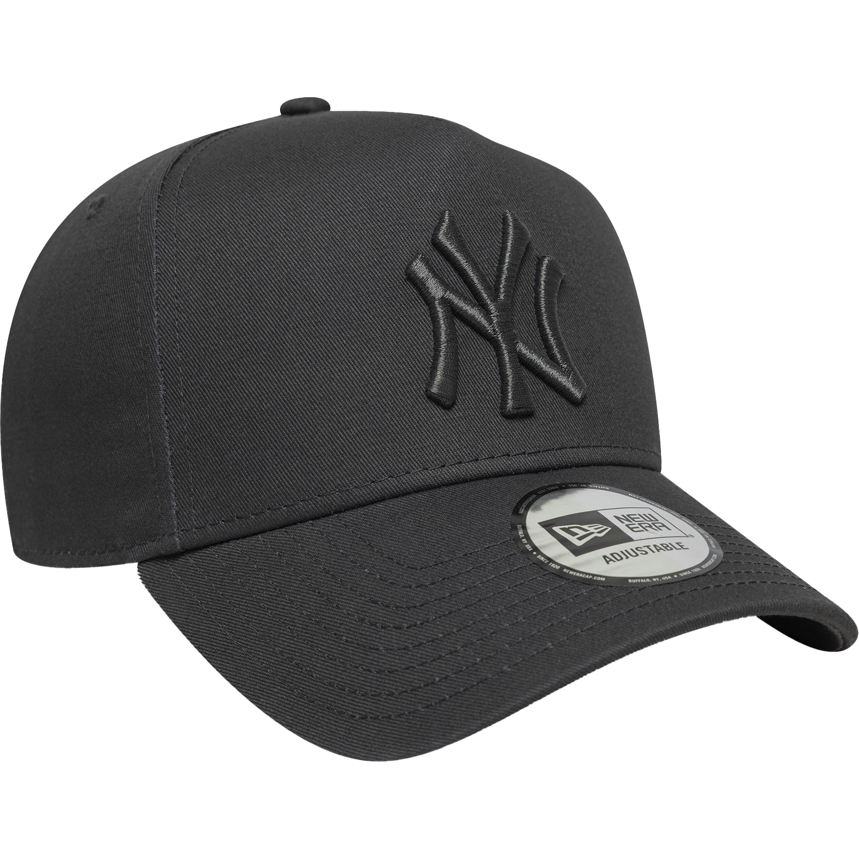 NEW ERA, Metallic Eframe Neyyan