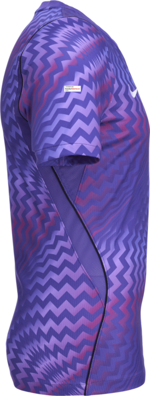 NIKE, GARDIEN VI GK SS JSY