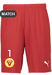 391942101101 PUMA T Goal Shorts 391942101101 PUMA T Goal Shorts Standard Small1x1