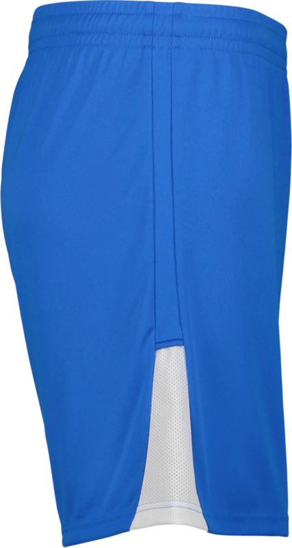 PUMA, TEAMLIGA26 SHORTS