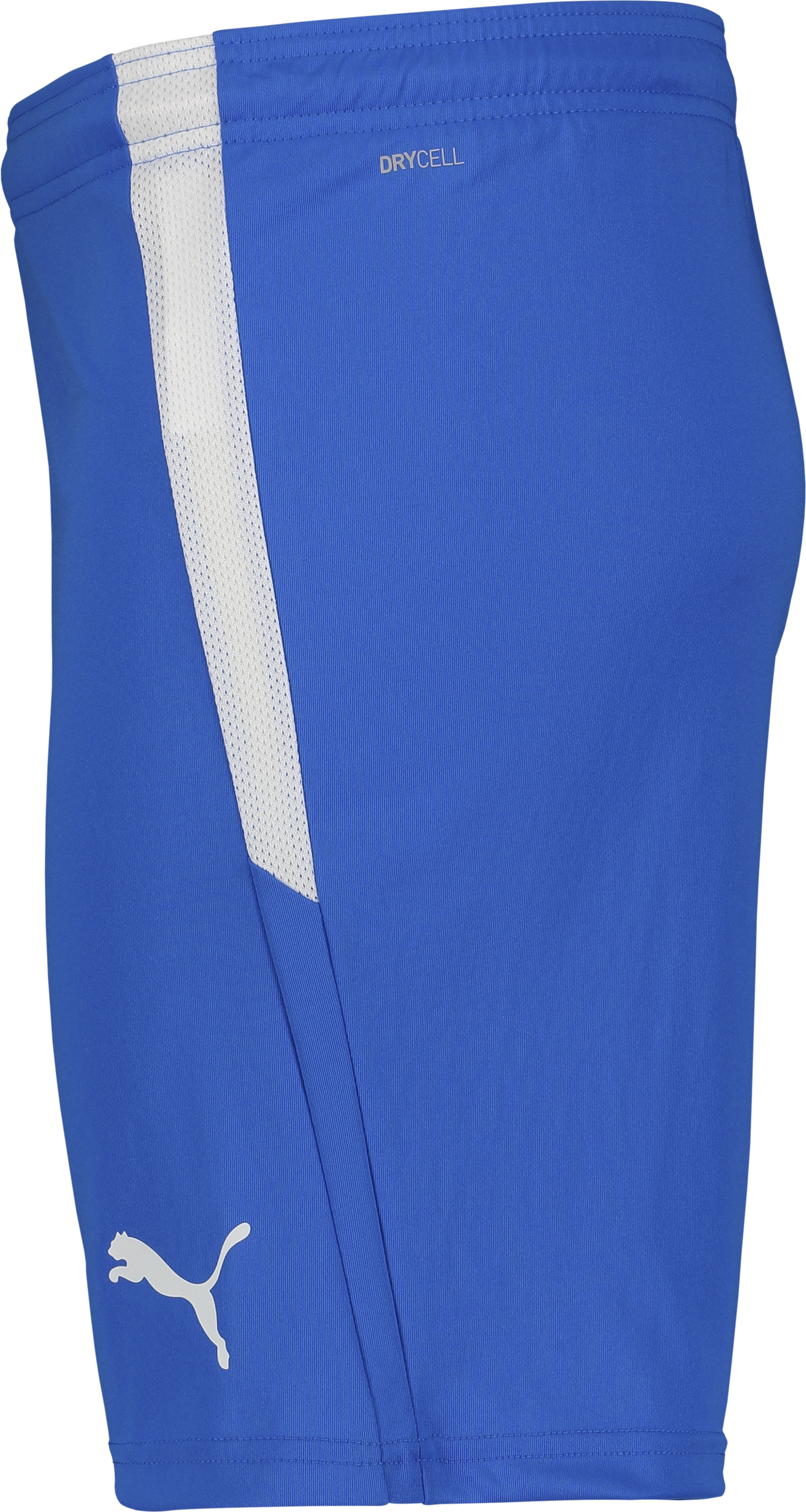 PUMA, T Liga Shorts Jr