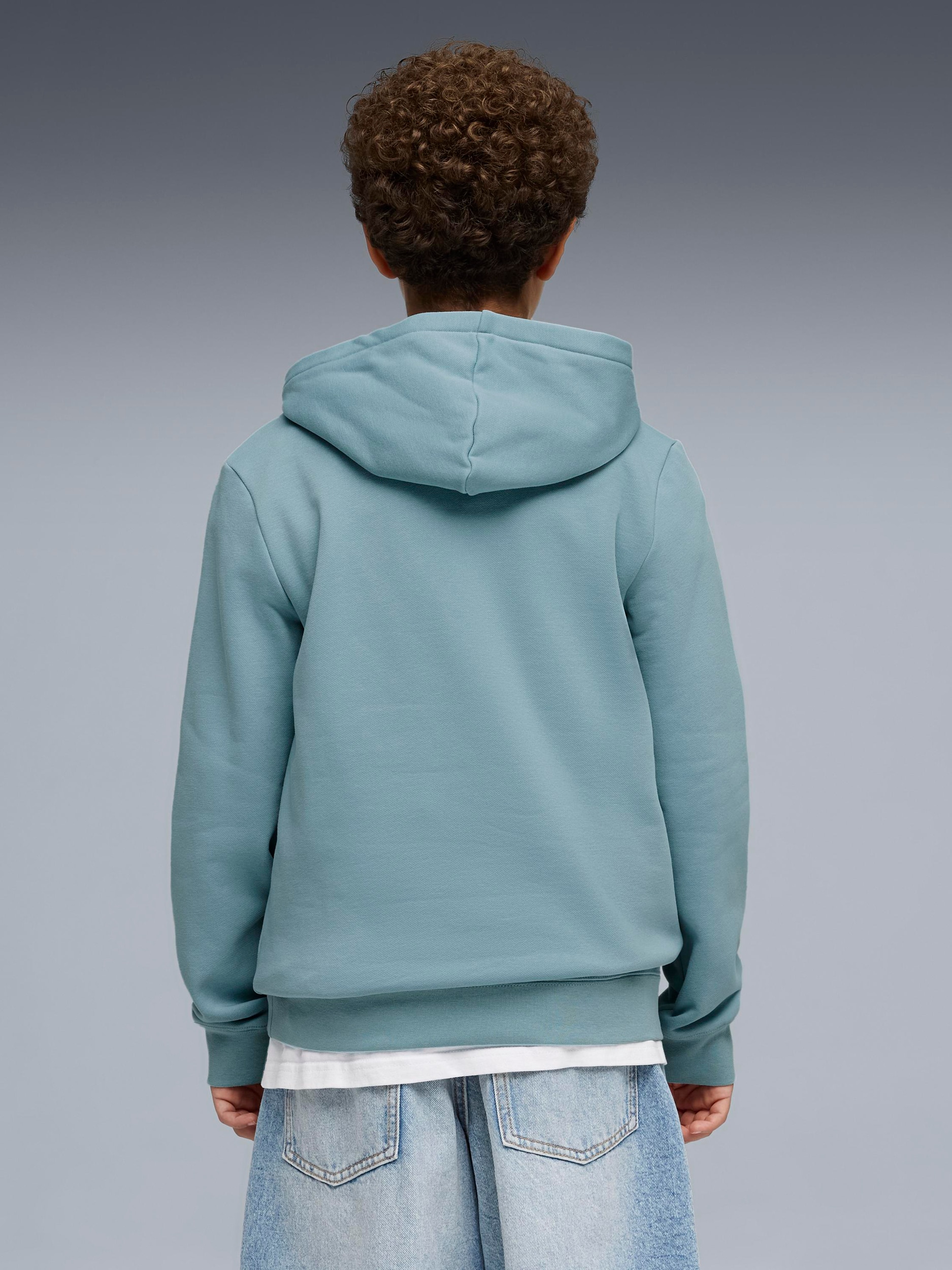 PUMA, J ESS SMALL NO.1 LOGO CENTERED HOODIE FL B