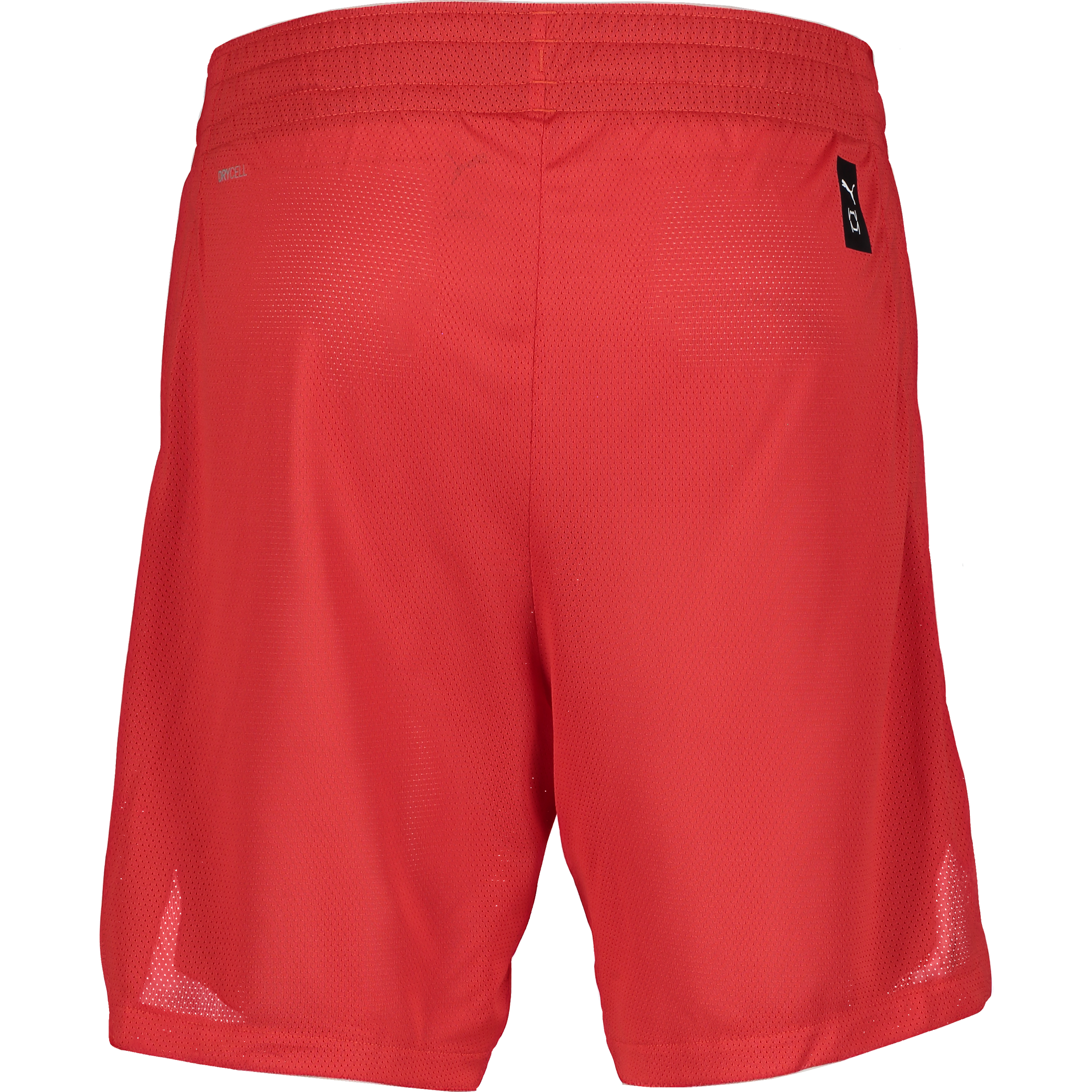 PUMA, TEAMJAWS PRACTICE SHORTS