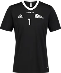 358910102101 ADIDAS Ent22 Jsy Tee Jr 358910102101 ADIDAS Ent22 Jsy Tee Jr Standard Small1x1