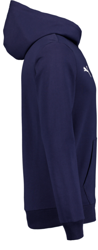 PUMA, T Goal Casual Hood Jr