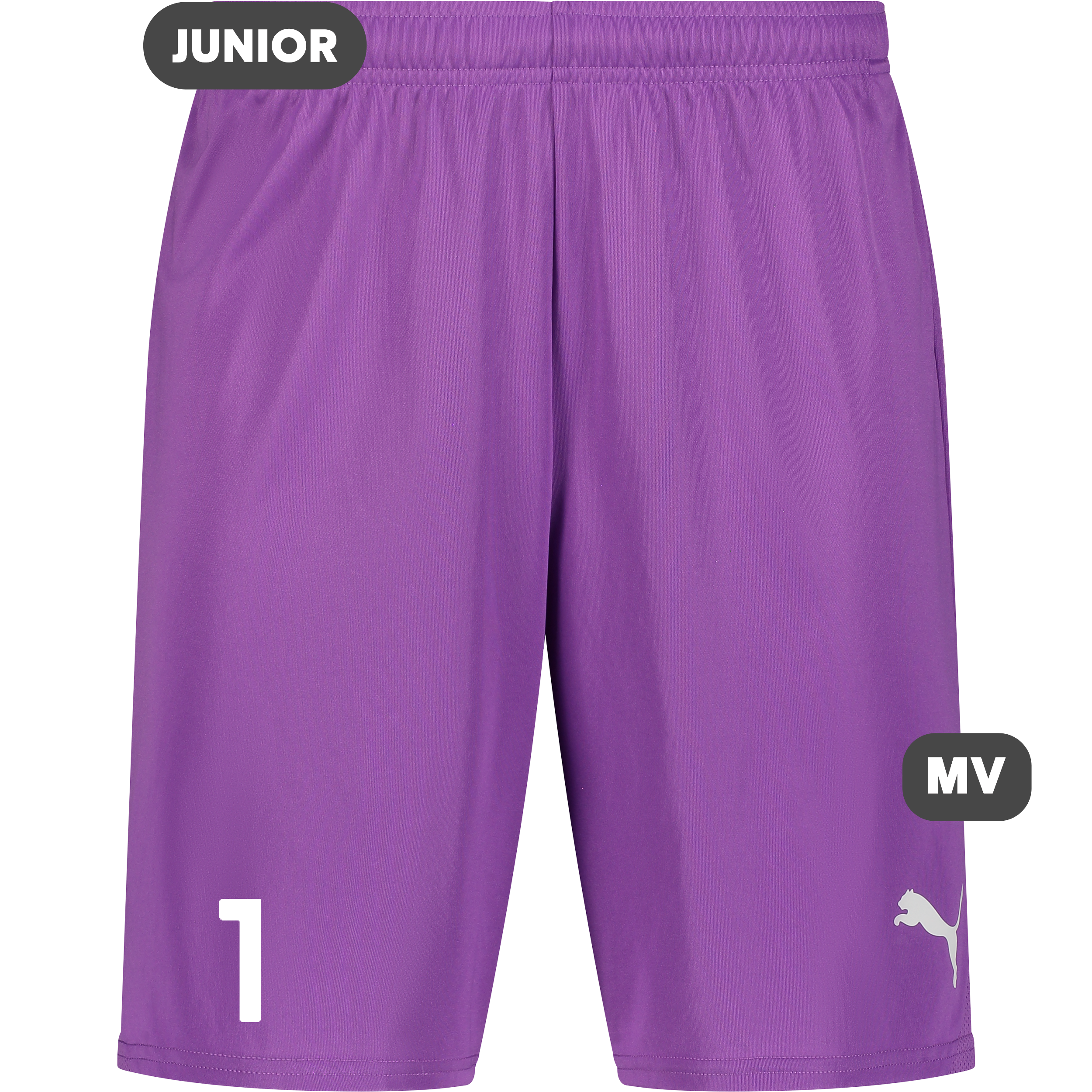 
PUMA, 
T Goal Shorts Jr, 
Detail 1
