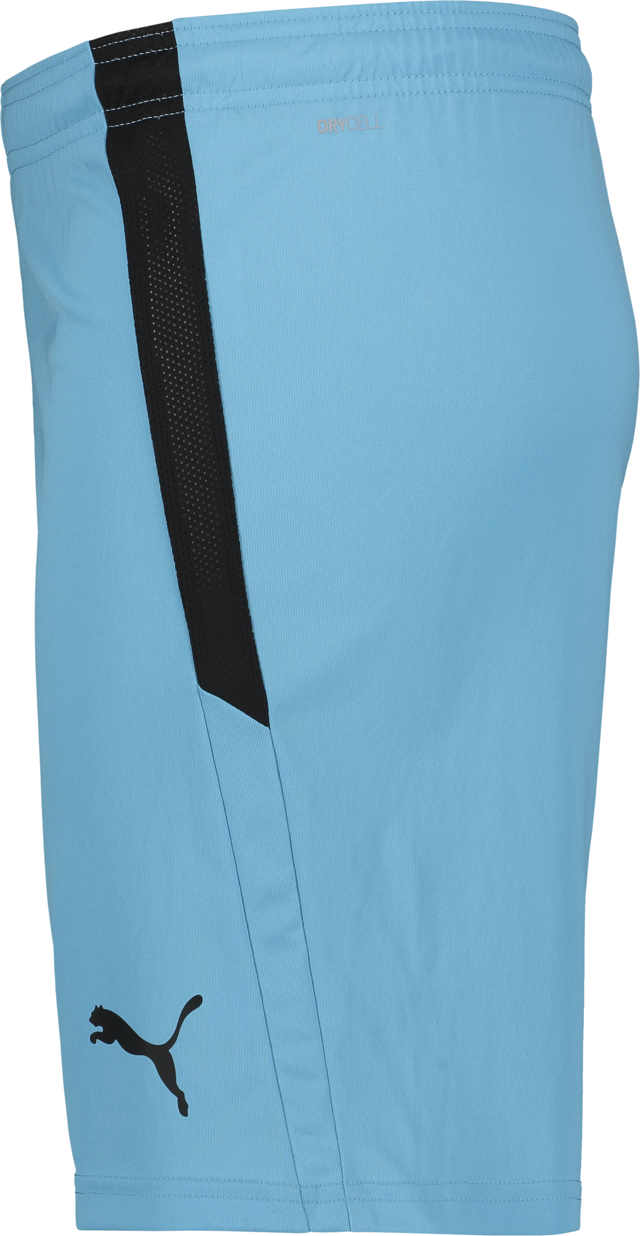 PUMA, T Liga Shorts Jr