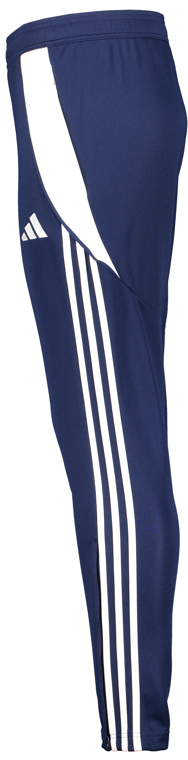 ADIDAS, Tiro24 Tr Pnt
