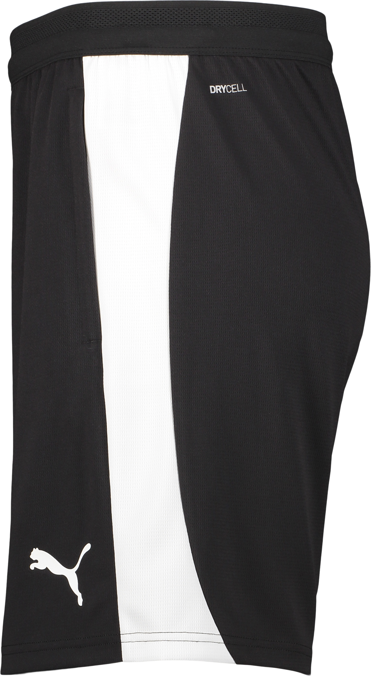 PUMA, TEAMFINAL26 TRAINING SHORTS