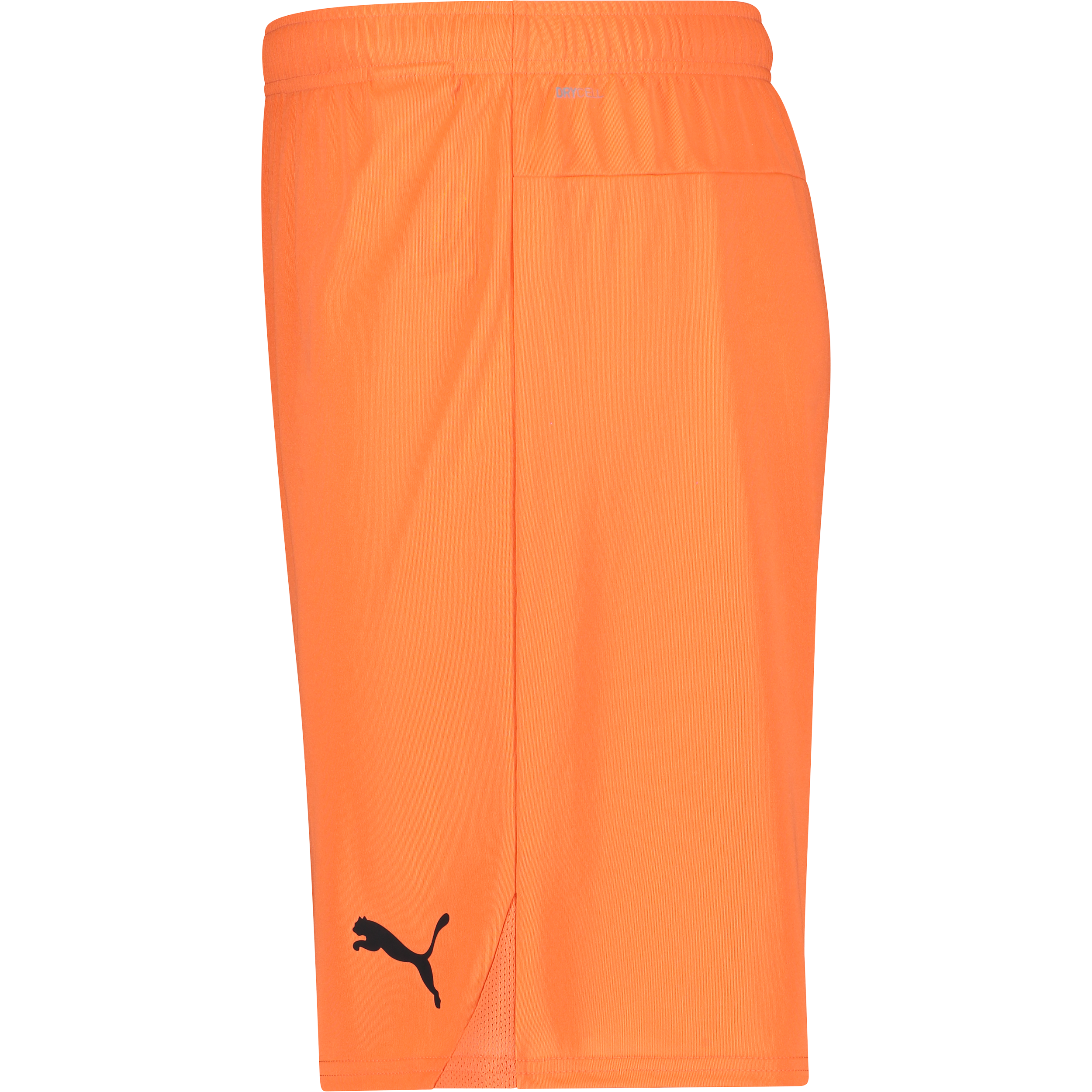 PUMA, T Goal Shorts Jr