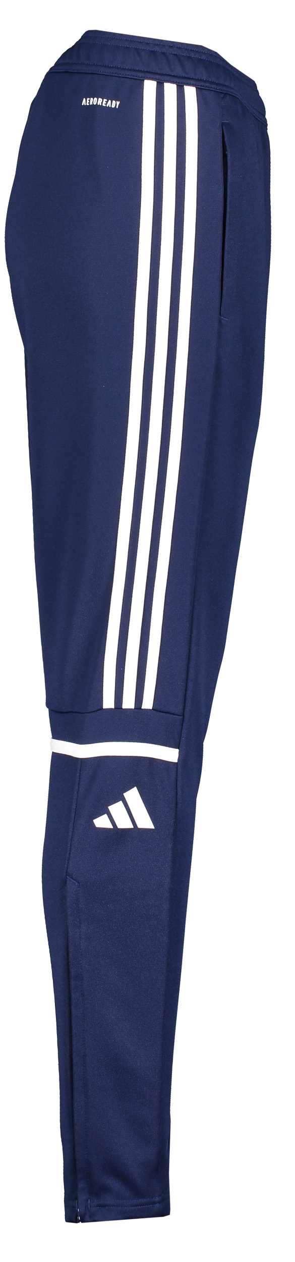 ADIDAS, Squad25 Tr Pnt W