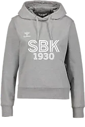 393936102101 HUMMEL Go 2.0 Hoodie W 393936102101 HUMMEL Go 2.0 Hoodie W Standard Small1x1