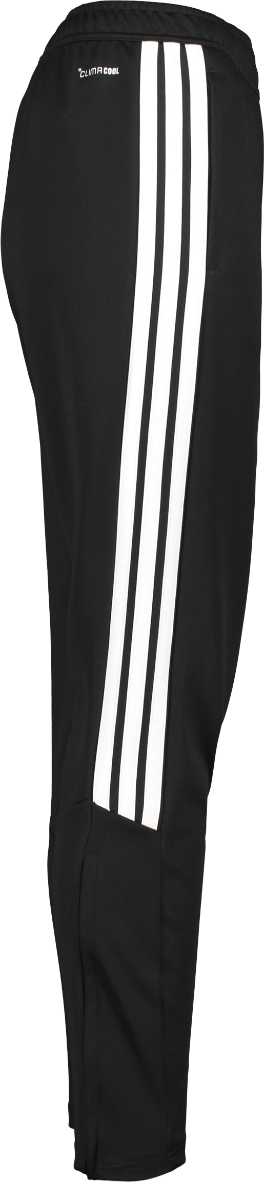 ADIDAS, TIRO26 L PNT W