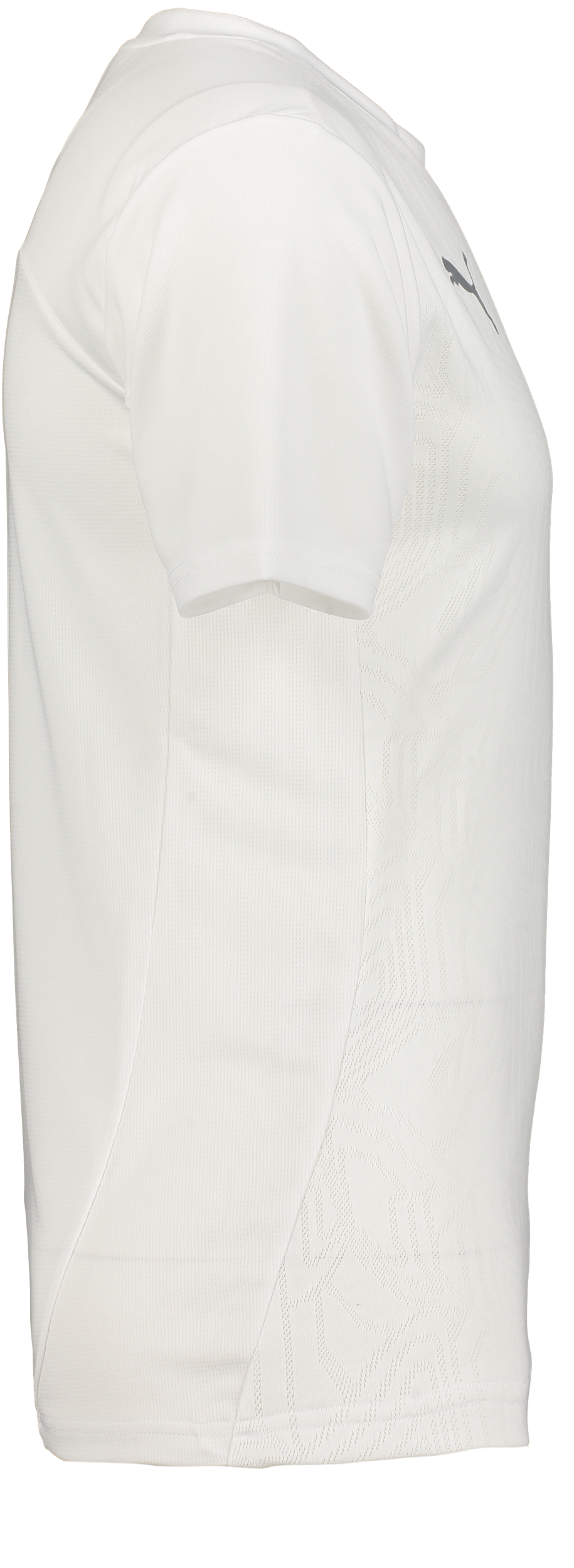 PUMA, T Final Trg Jsy