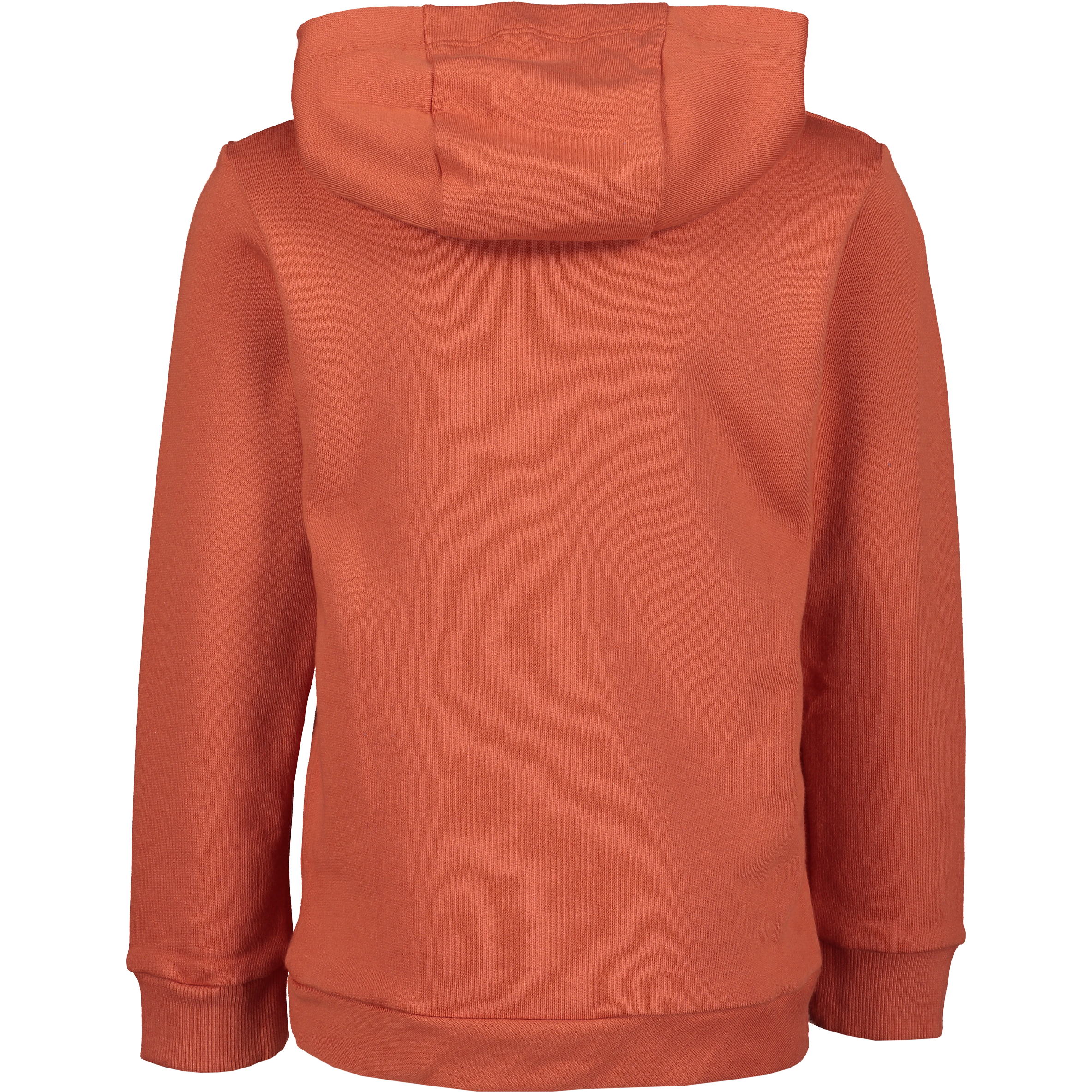 HELLY HANSEN, K Helly Hansen Hoodie