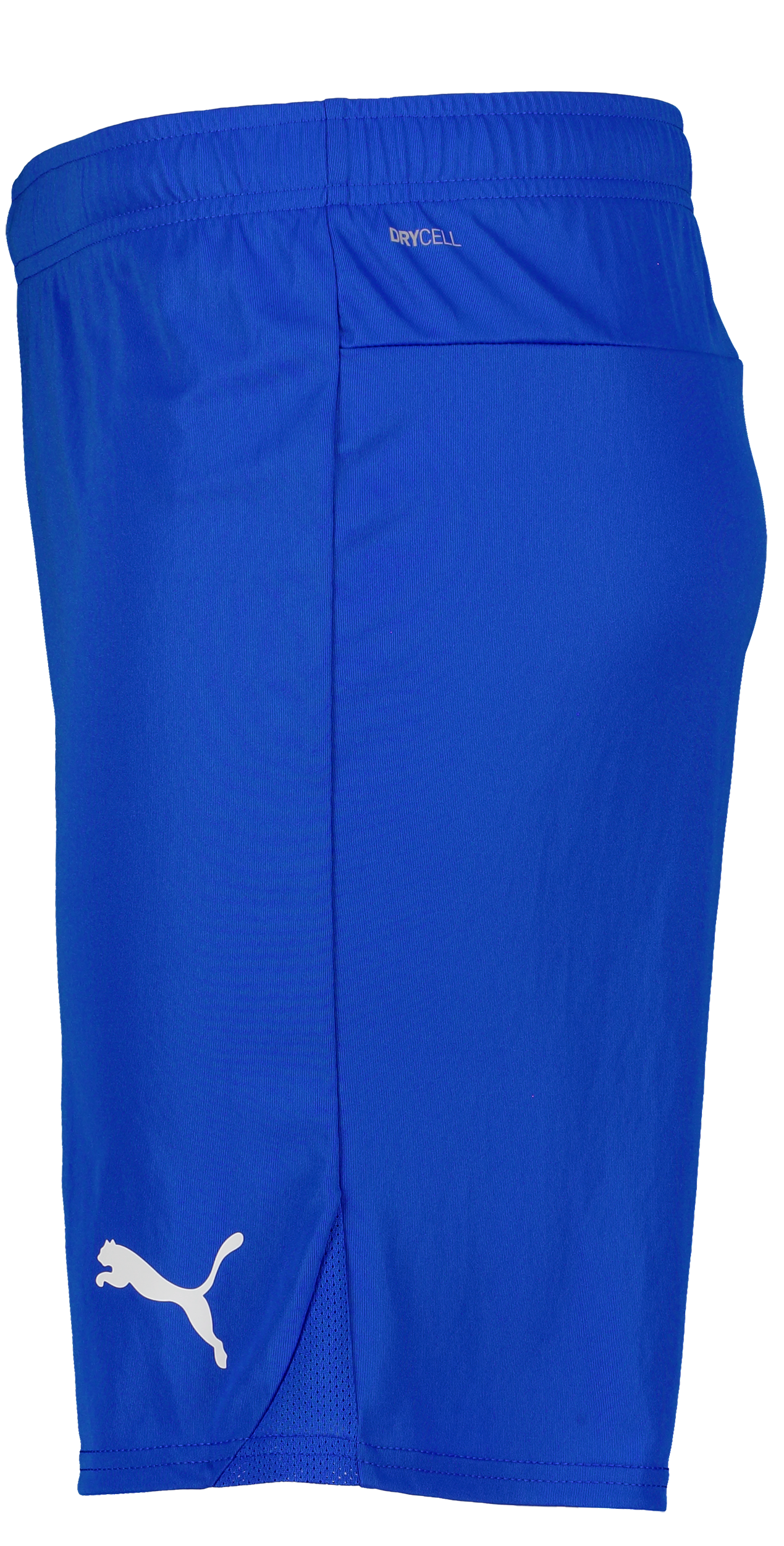 PUMA, T Goal Shorts Jr