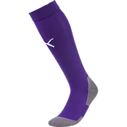 Liga Core Sock - Prism Violet/Wht Standard Small1x1