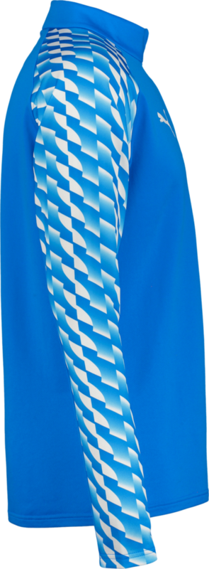 PUMA, TEAMLIGA26 TRAINING 1/4 ZIP TOP JR