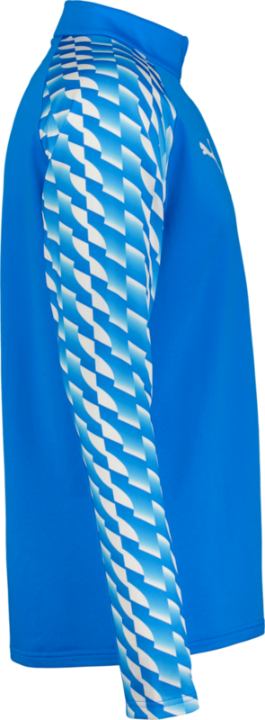 PUMA, TEAMLIGA26 TRAINING 1/4 ZIP TOP JR