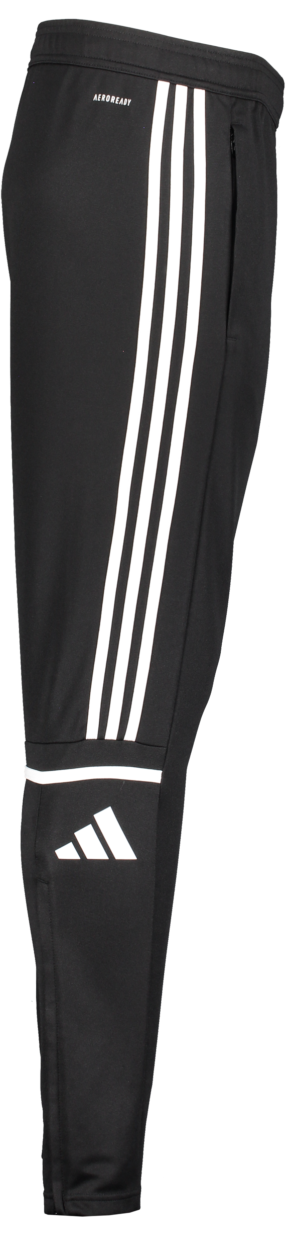 ADIDAS, Squad25 Tr Pnt