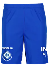 392286102101 PUMA T Goal Shorts Jr 392286102101 PUMA T Goal Shorts Jr Standard Small1x1