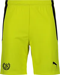 361522107101 PUMA T Liga Shorts 361522107101 PUMA T Liga Shorts Standard Small1x1