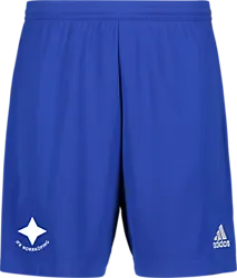 358904107101 ADIDAS Ent22 Shorts 358904107101 ADIDAS Ent22 Shorts Standard Small1x1