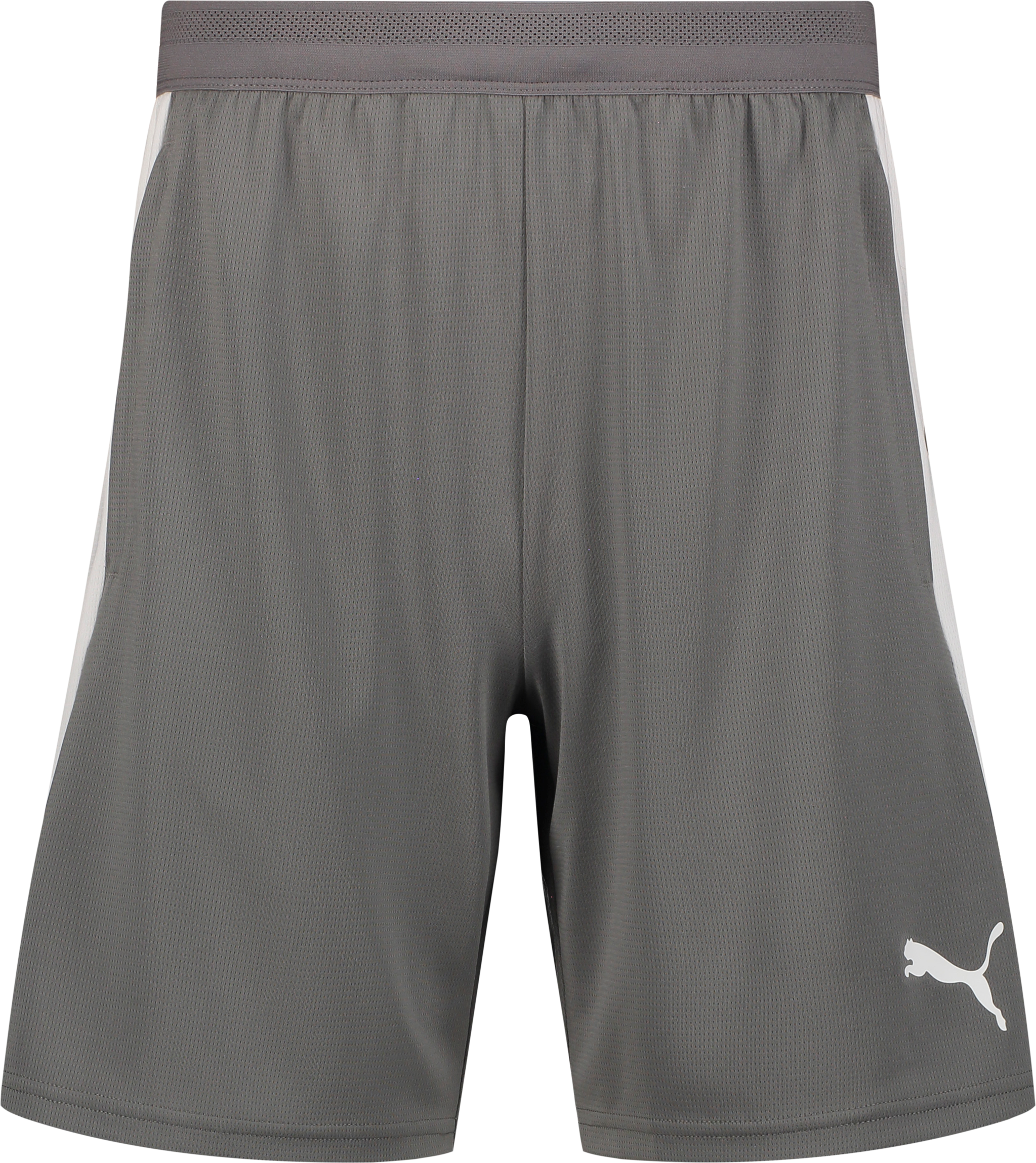 
PUMA, 
TEAMFINAL26 TRAINING SHORTS, 
Detail 1

