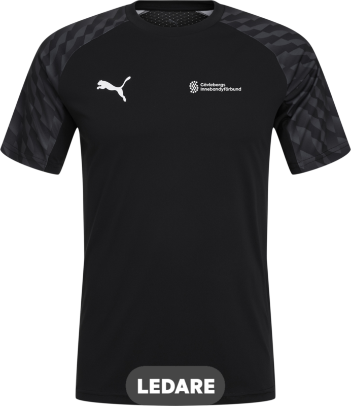 
PUMA, 
TEAMLIGA26 JERSEY, 
Detail 1
