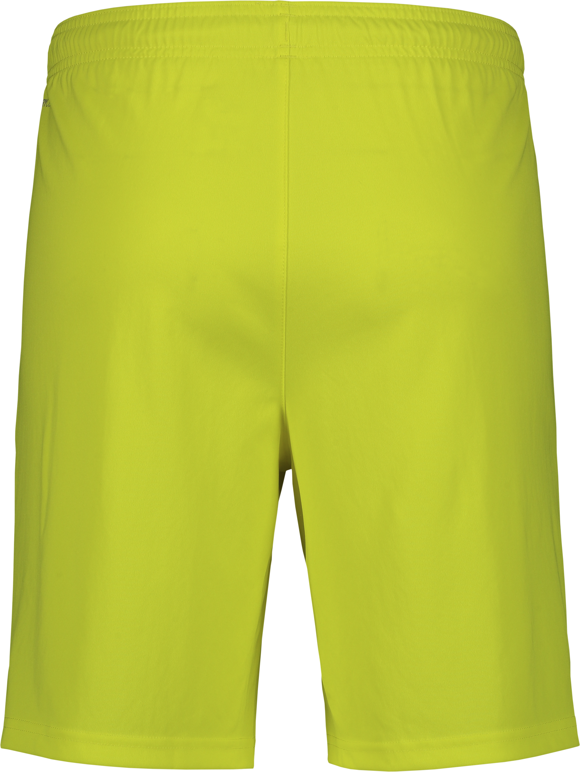 PUMA, T Liga Shorts Jr