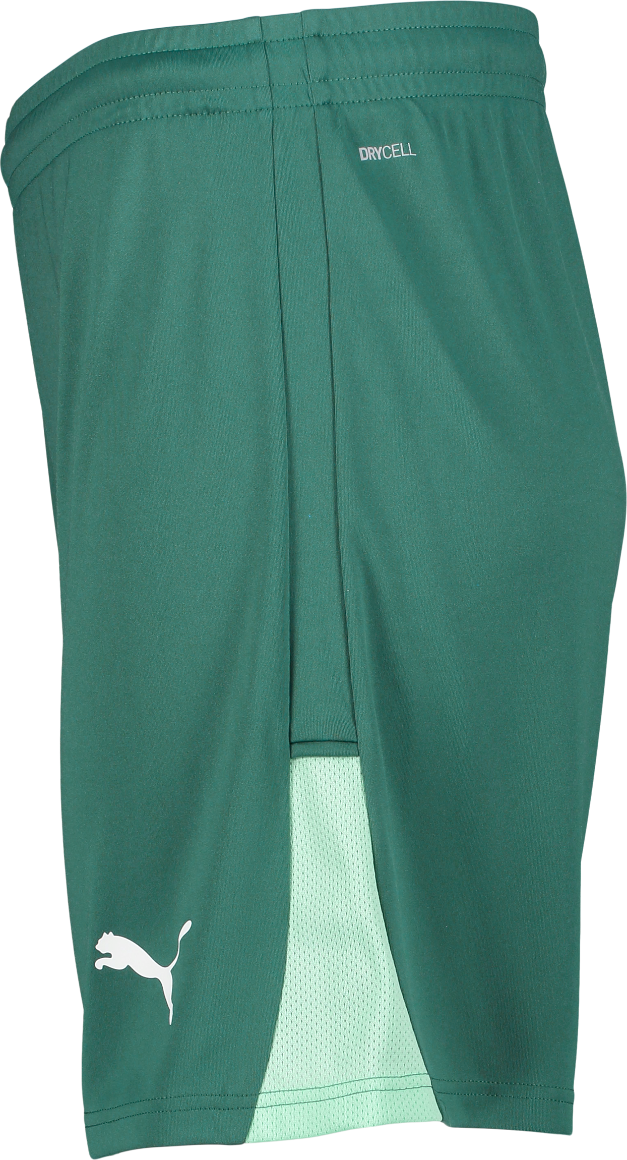 PUMA, TEAMLIGA26 SHORTS