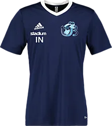 358914108101 ADIDAS Ent22 Jsy Tee 358914108101 ADIDAS Ent22 Jsy Tee Standard Small1x1