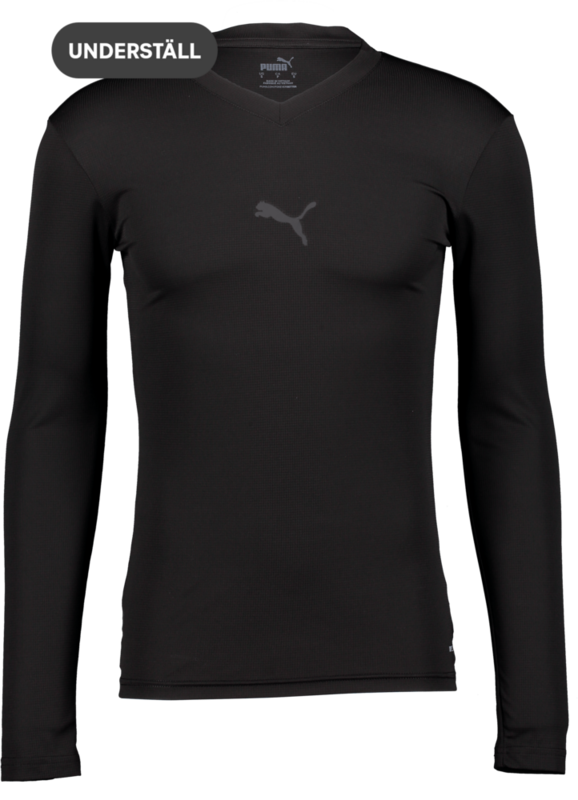
PUMA, 
T Goal Bl Ls Jsy Jr, 
Detail 1
