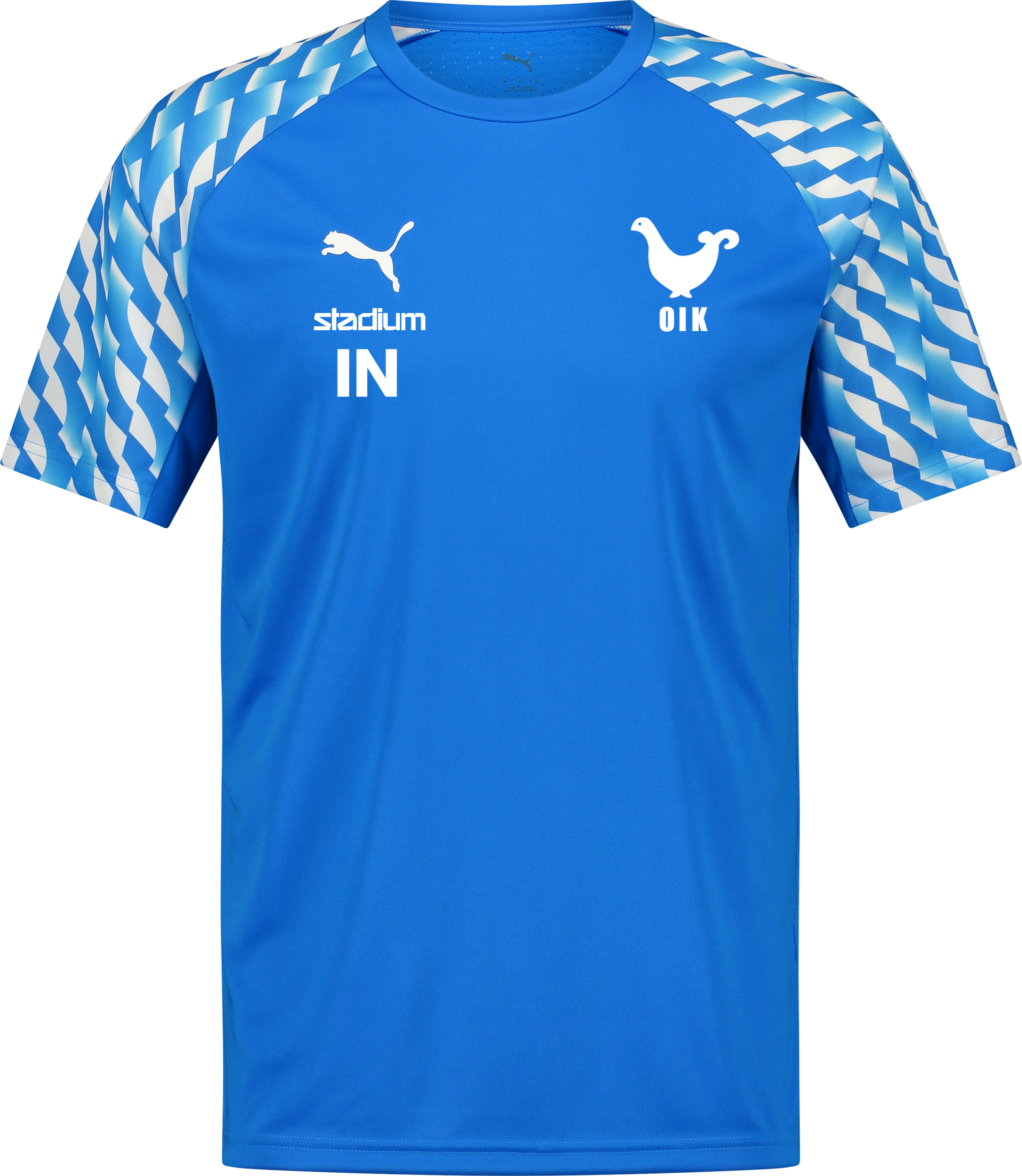 
PUMA, 
TEAMLIGA26 JERSEY JR, 
Detail 1
