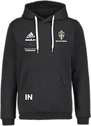 358922101101 ADIDAS Ent22 Hoody 358922101101 ADIDAS Ent22 Hoody Standard Small1x1
