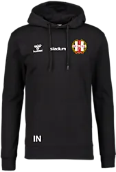 393934101101 HUMMEL Go 2.0 Hoodie 393934101101 HUMMEL Go 2.0 Hoodie Standard Small1x1