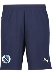 392286106101 PUMA T Goal Shorts Jr 392286106101 PUMA T Goal Shorts Jr Standard Small1x1