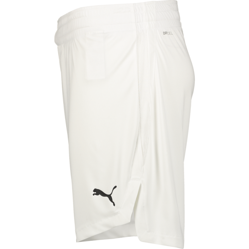 PUMA, TEAMJAWS STARTER SHORTS